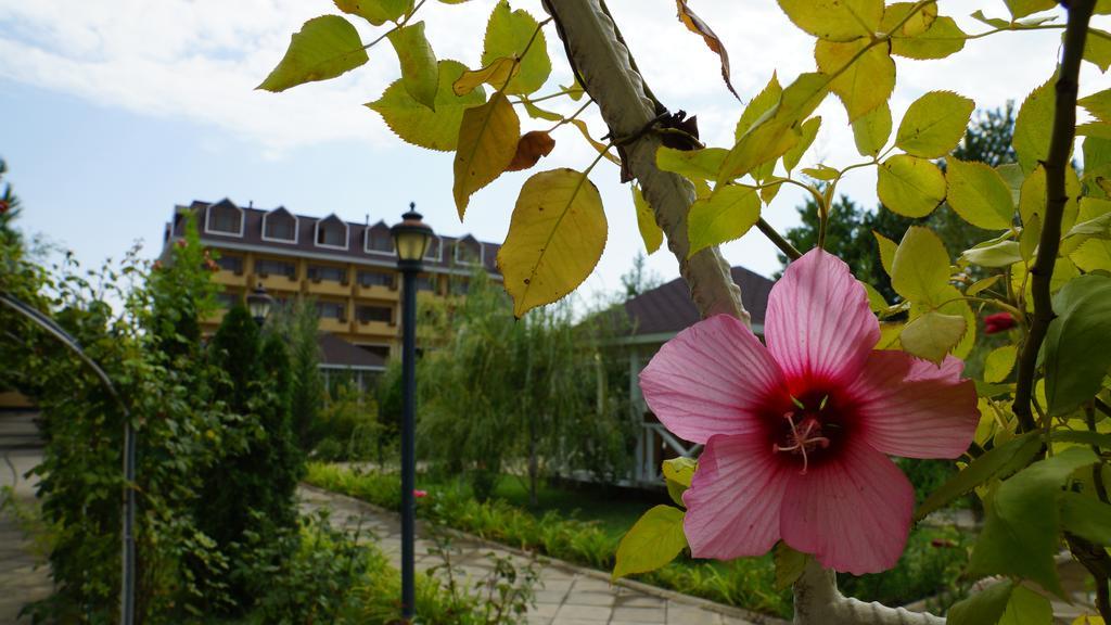 River Side Hotel มิงกาเชเวียร์ ภายนอก รูปภาพ